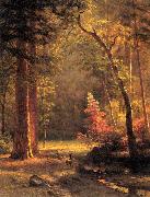 Albert Bierstadt Dogwood by Albert Bierstadt oil painting on canvas